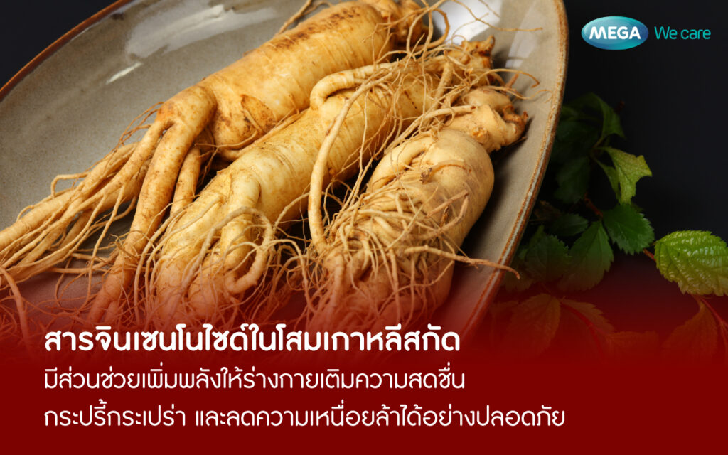 สรรพคุณ โสมเกาหลี