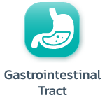 Gastrointestinal Tract