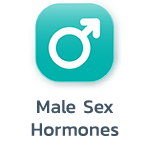 Male SexHormones