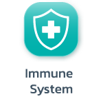 Immune System