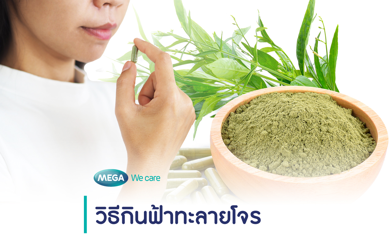 กินฟ้าทะลายโจร
