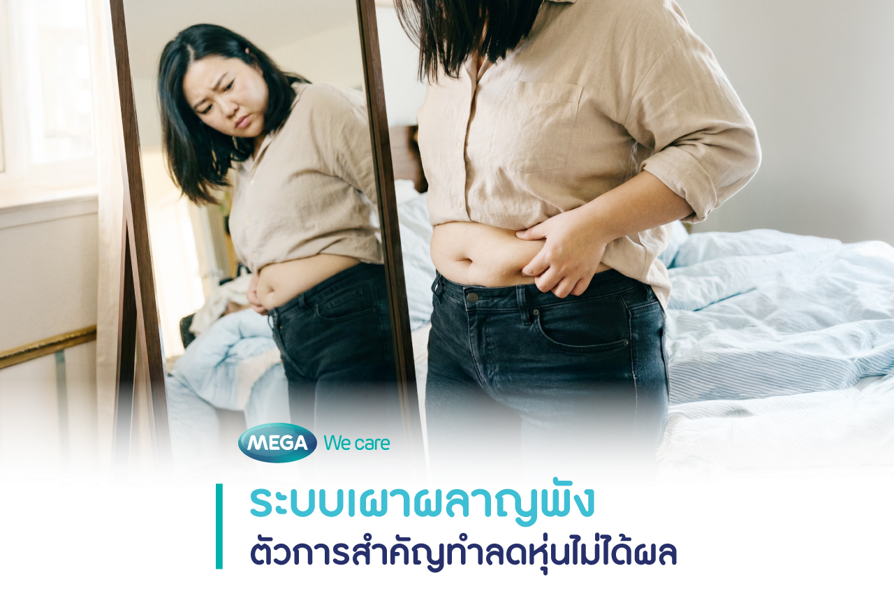 ระบบเผาผลาญพัง ลดน้ำหนักไม่ลง