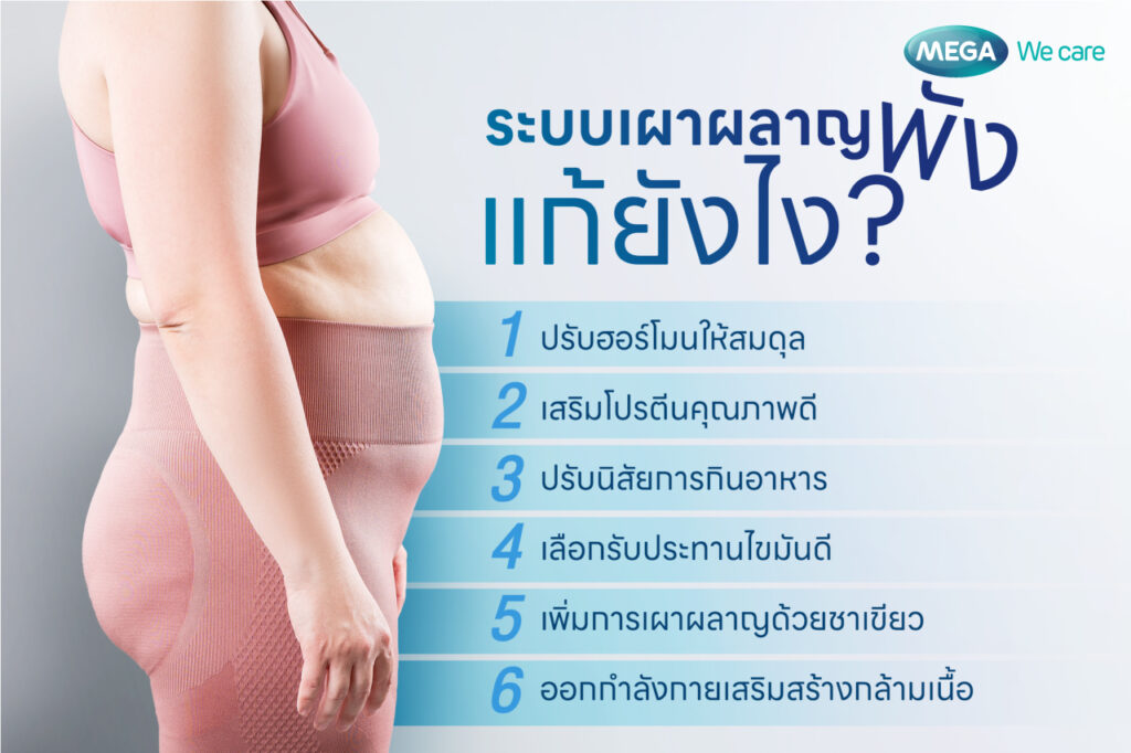 วิธีแก้ ระบบเผาผลาญพัง