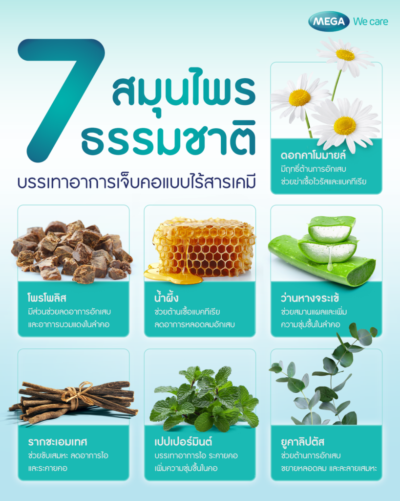 สมุนไพรธรรมชาติที่ช่วยบรรเทาอาการเจ็บคอและเป็นส่วนผสมของสเปรย์พ่นคอ