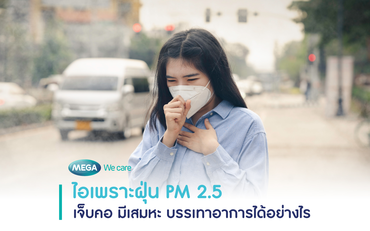 ไอเพราะฝุ่น PM 2.5