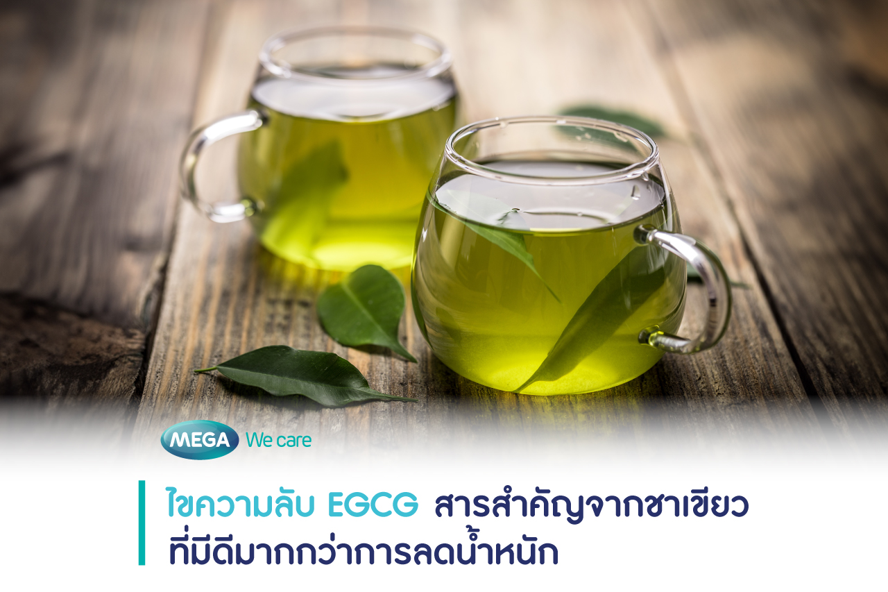 EGCG ในชาเขียว