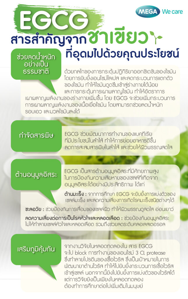 EGCG สารต้านอนมูลอิสระใน ชาเขียว