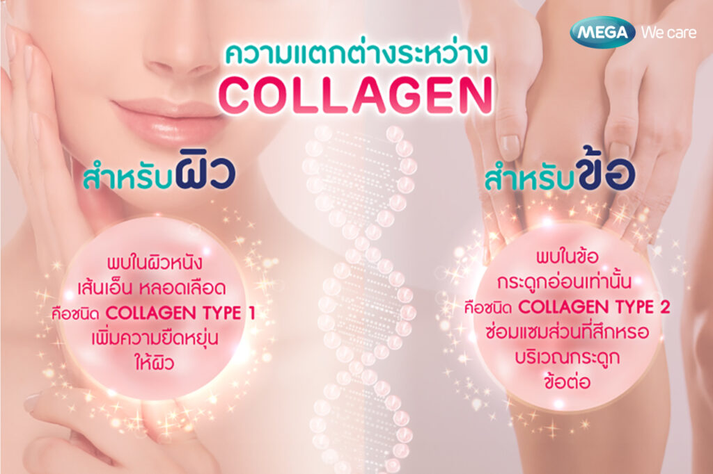 ความแตกต่างของ คอลลาเจน collagen