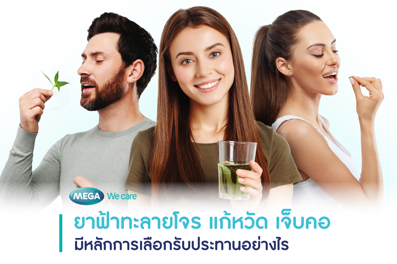 ยาฟ้าทะลายโจร สรรพคุณ