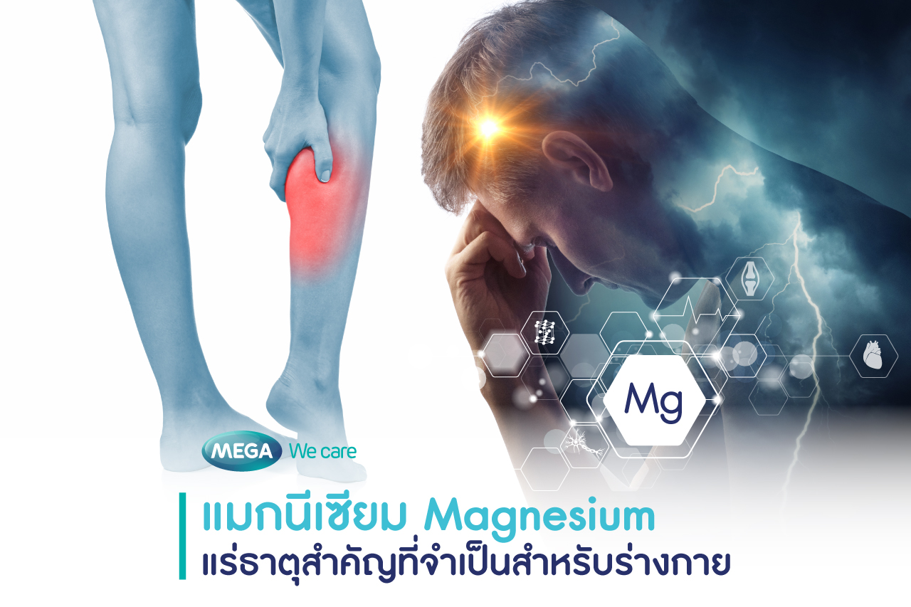 แมกนีเซียม Magnesium