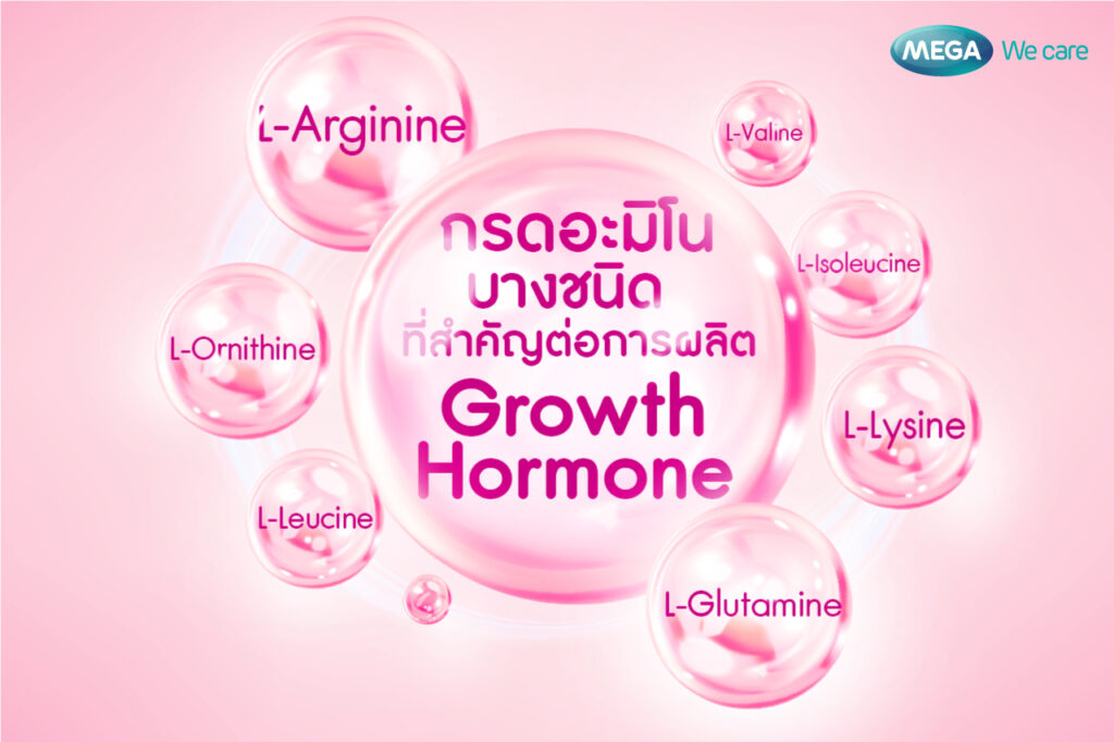 สารอาหารเพิ่ม โกรทฮอร์โมน Growth Hormone : GH