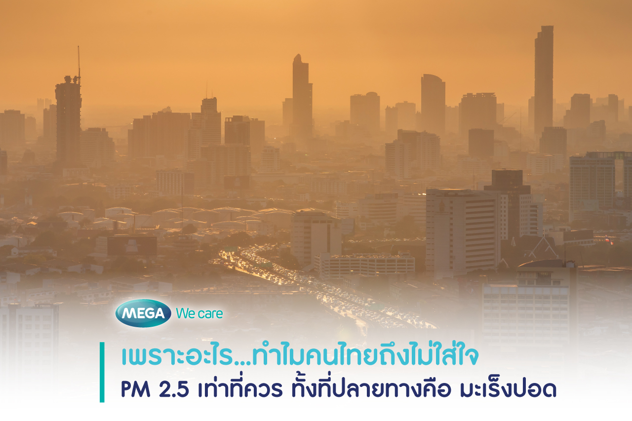ฝุ่น PM 2.5 สาเหตุมะเร็งปอด