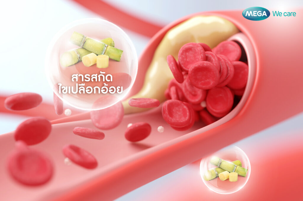 ประโยชน์ของ โพลิโคซานอล จากไขเปลือกอ้อย