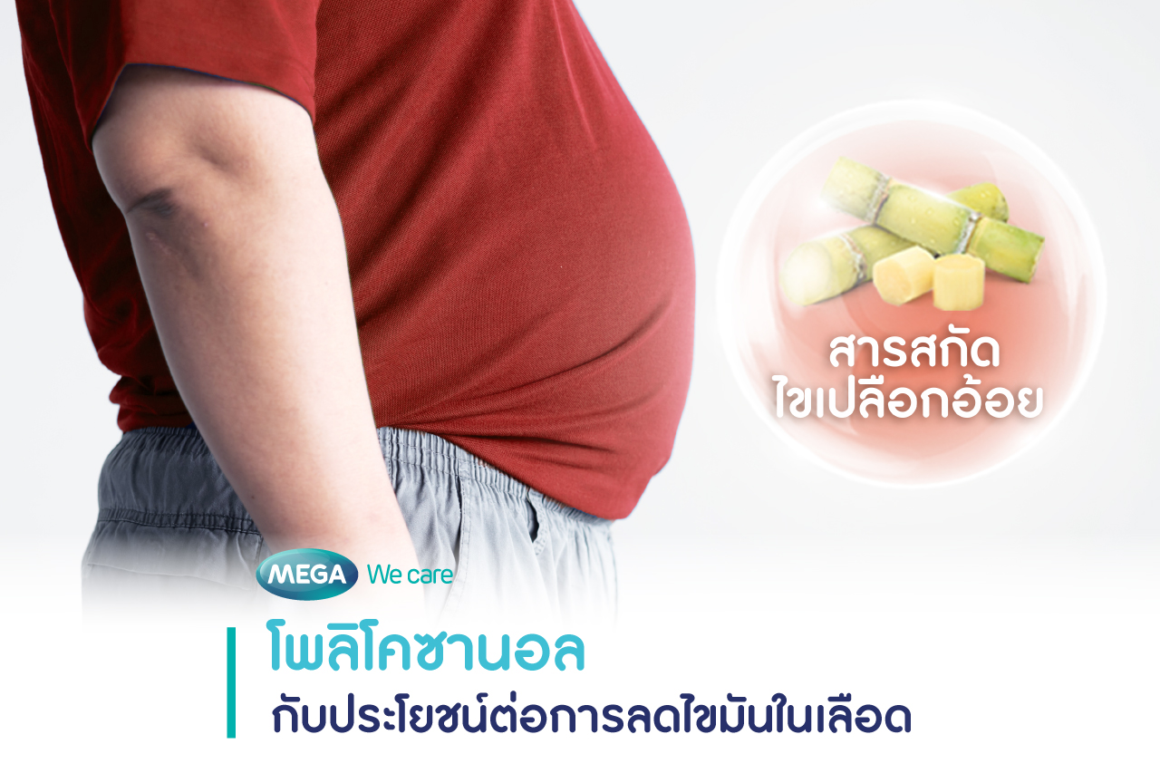 โพลิโคซานอล Policosanol กับการลดไขมันในเลือด