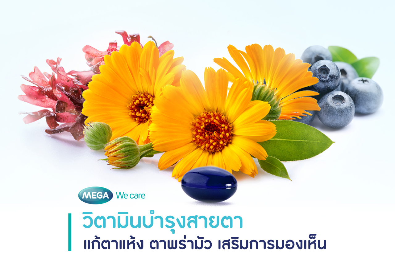 วิตามินบำรุงสายตา ช่วยแก้ตาแห้ง ตาล้า และดูแลสายตาระยะยาว