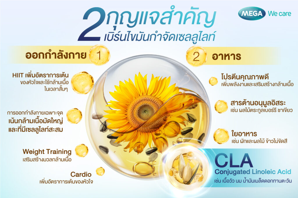 วิธีลดไขมัน กำจัด เซลลูไลท์ (Cellulite) ด้วยการออกกำลังกายและอาหาร