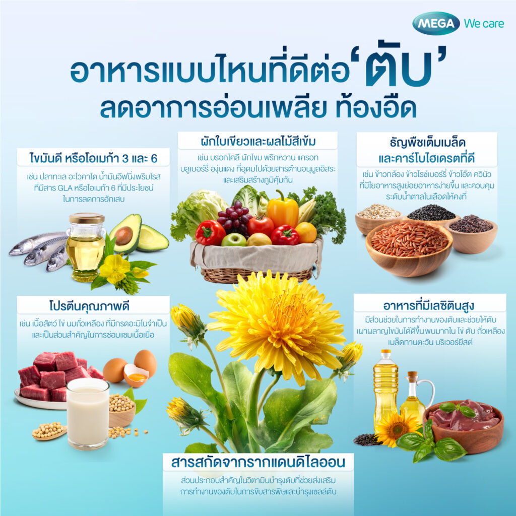 อาหารบำรุงตับ เหมาะสำหรับคนที่ ค่าตับสูง