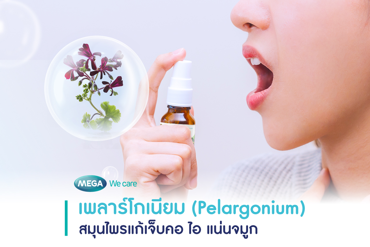 Pelargonium สเปรย์สมุนไพรแก้เจ็บคอ_MEGA We care