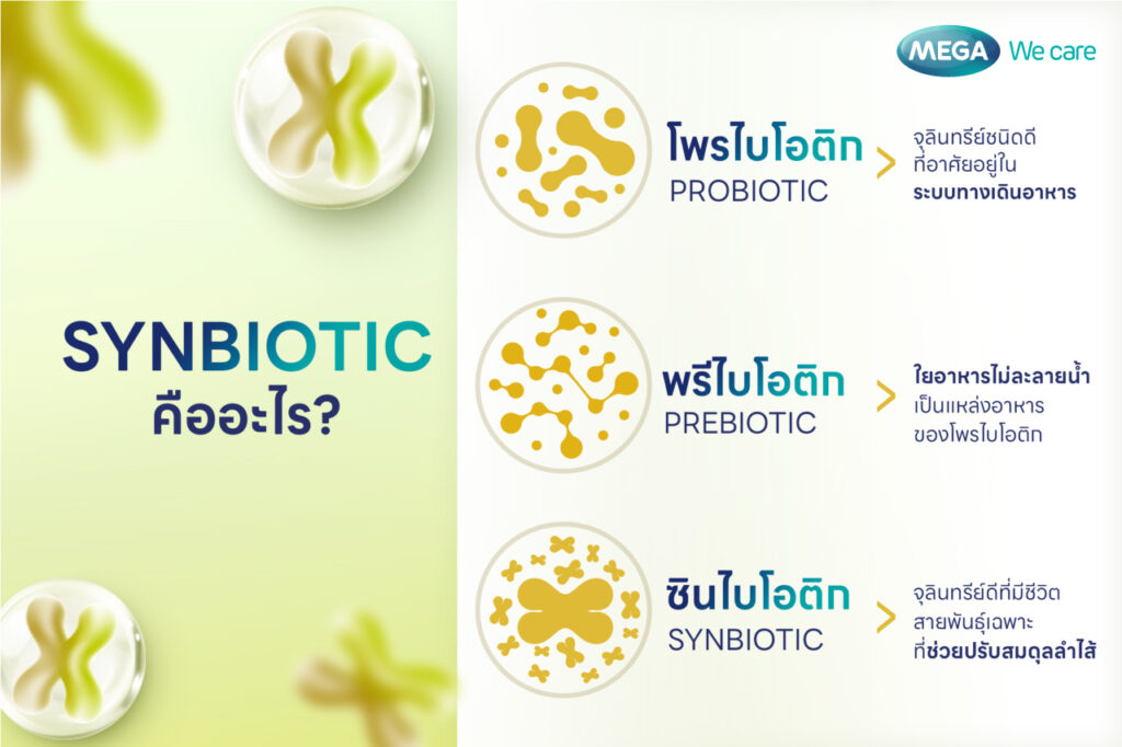 ซินไบโอติก ต่างจาก โพรไบโอติก และพรีไบโอติกอย่างไร