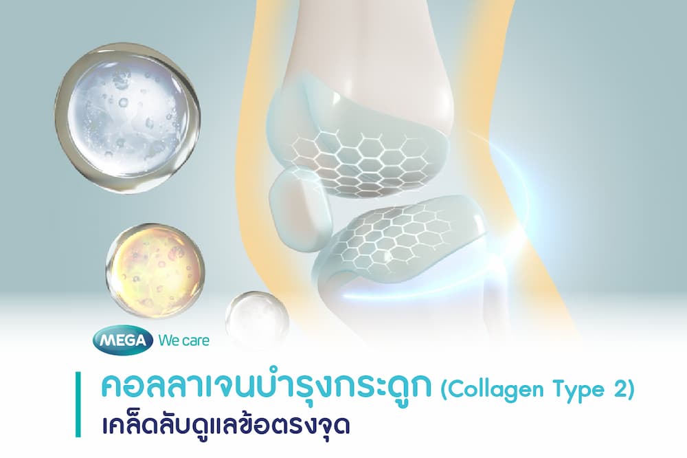 Collagen Type 2 มีประโยชน์ต่อการบำรุงกระดูกและข้อต่อ